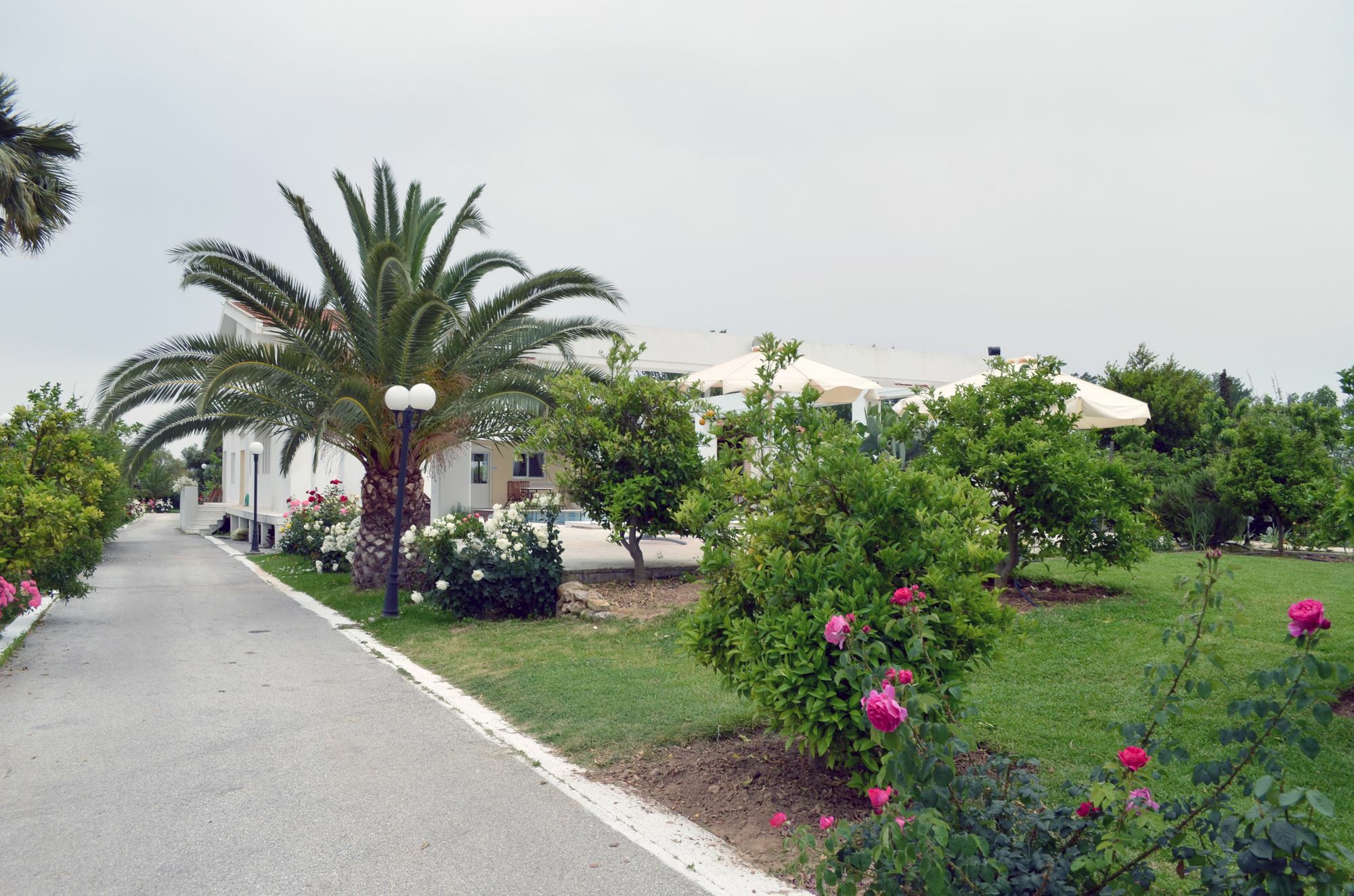 Olive Mansion Suites Марафон Экстерьер фото